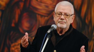 Организация за спасяване на бездомни животни е отвлякла котката на