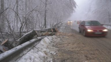Екипи на аварийната дирекция и пожарната отстраняват паднали дървета и