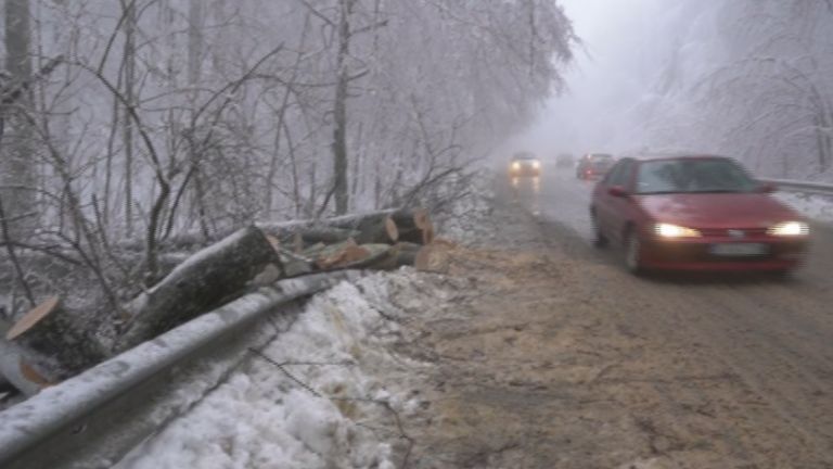 Екипи на аварийната дирекция и пожарната отстраняват паднали дървета и