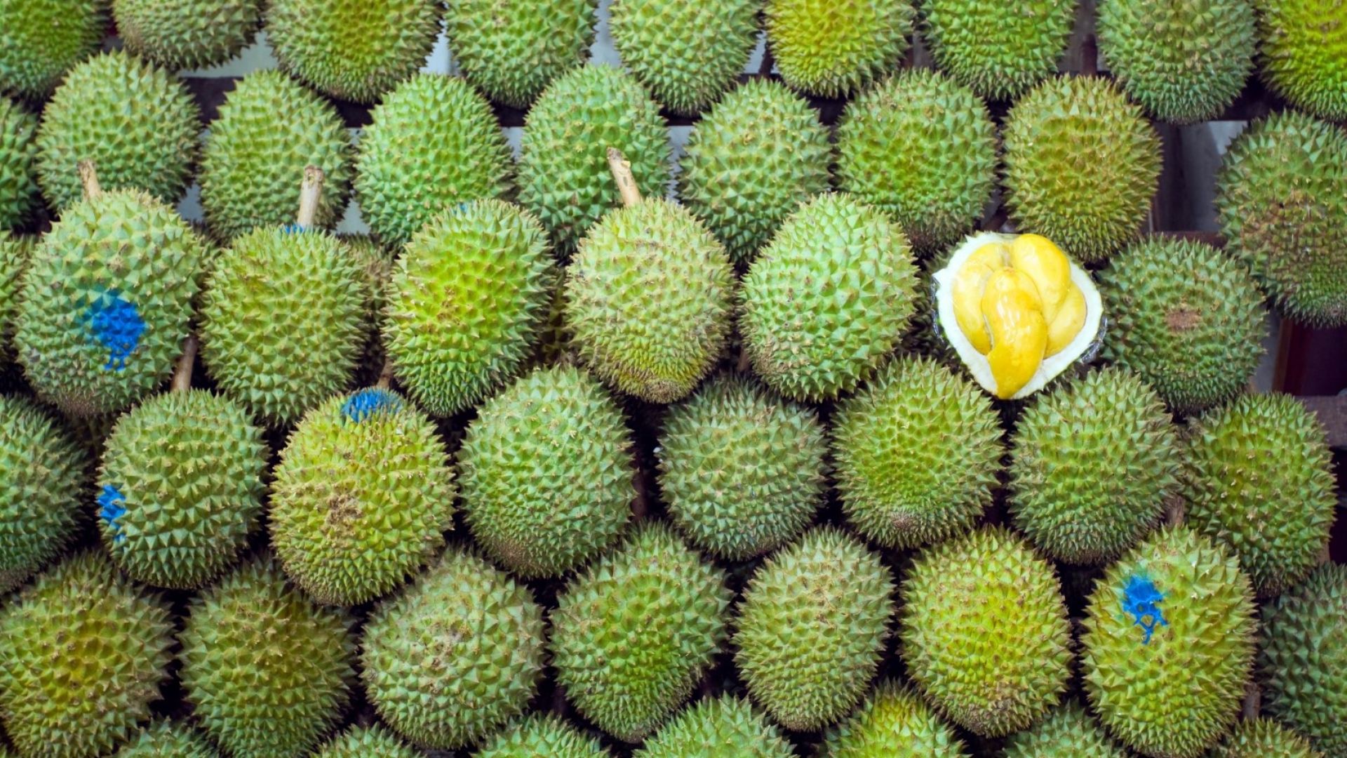 Яли ли сте дуриан - тропическия плод, който мирише на умряло?