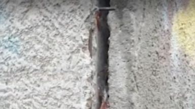 Стърчащи арматури и ръждиви тръби има в двора на училище