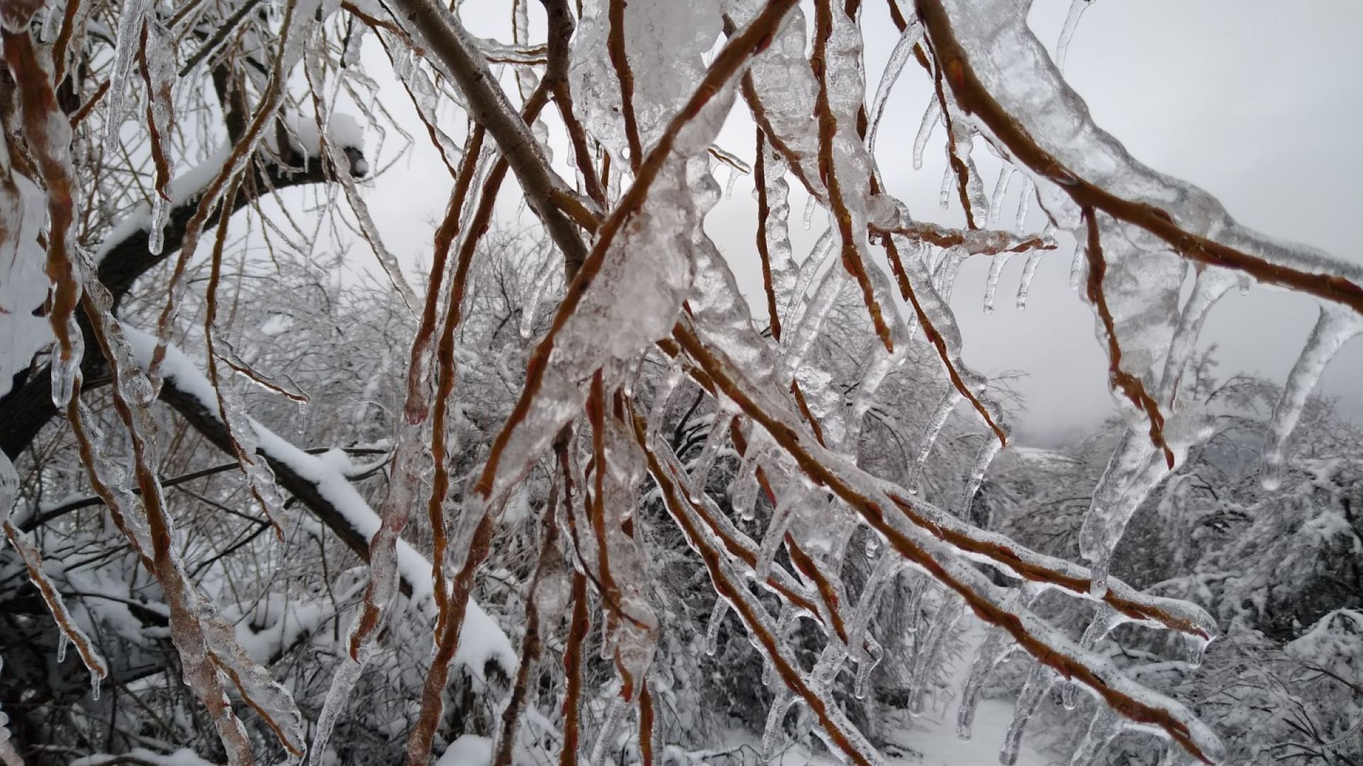 Опасно време: Жълт код за леден ден и силен вятър за цялата страна издаде НИМХ