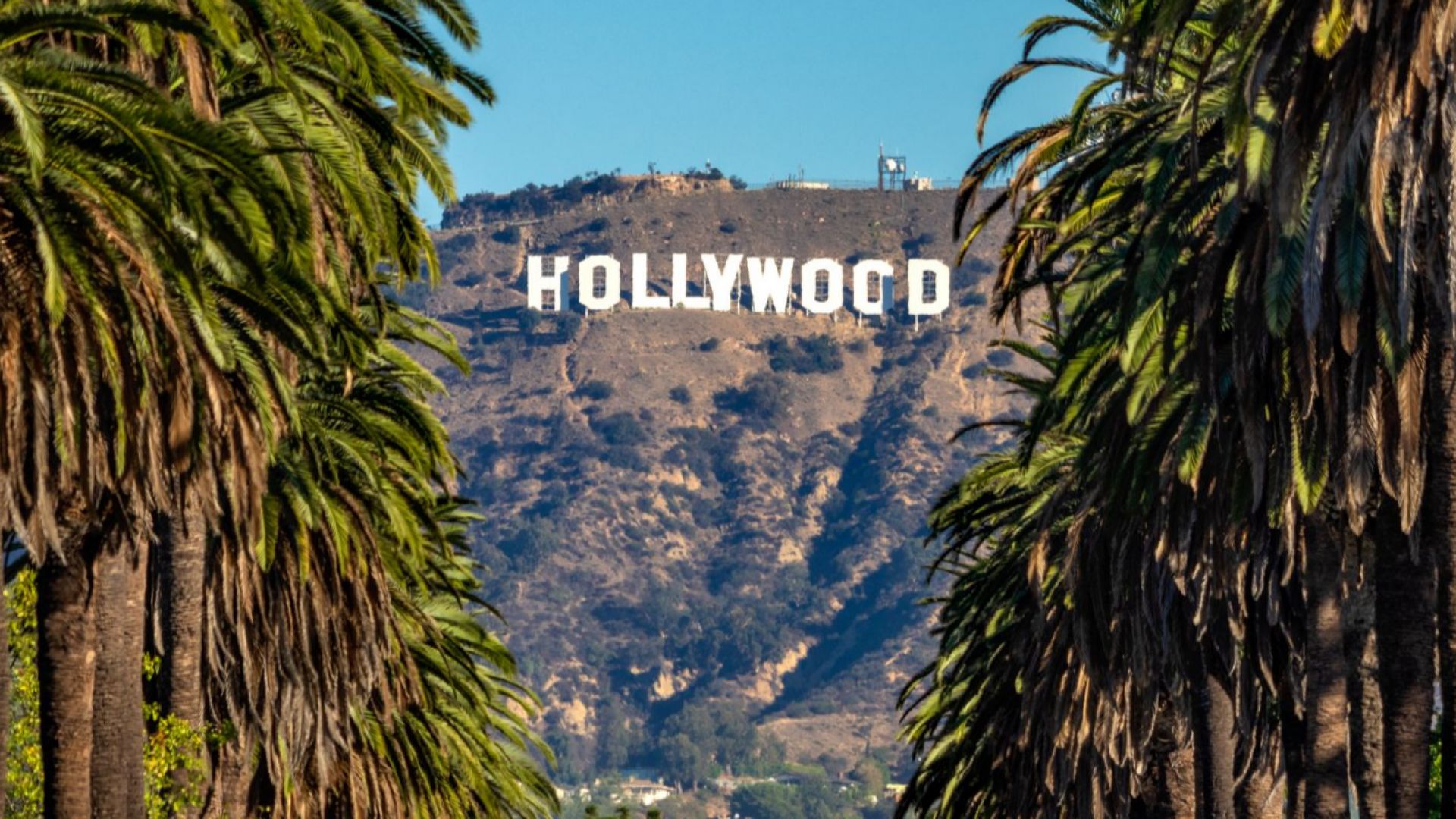 Преправиха надписа "Hollywood", свързвайки го с женски гърди 