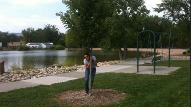 Знаете ли че в американския щат Колорадо расте българско дърво