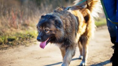 Районна прокуратура Видин наблюдава досъдебно производство за причинена средна телесна повреда
