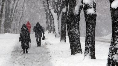 Мраз и сняг сковаха голяма част от Европа Ниските температури