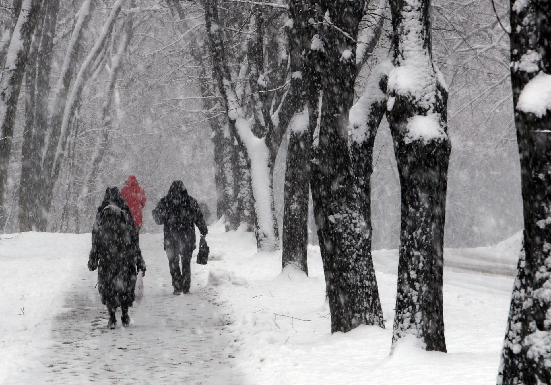 Снегът създава проблеми с електроснабдяването в Сърбия