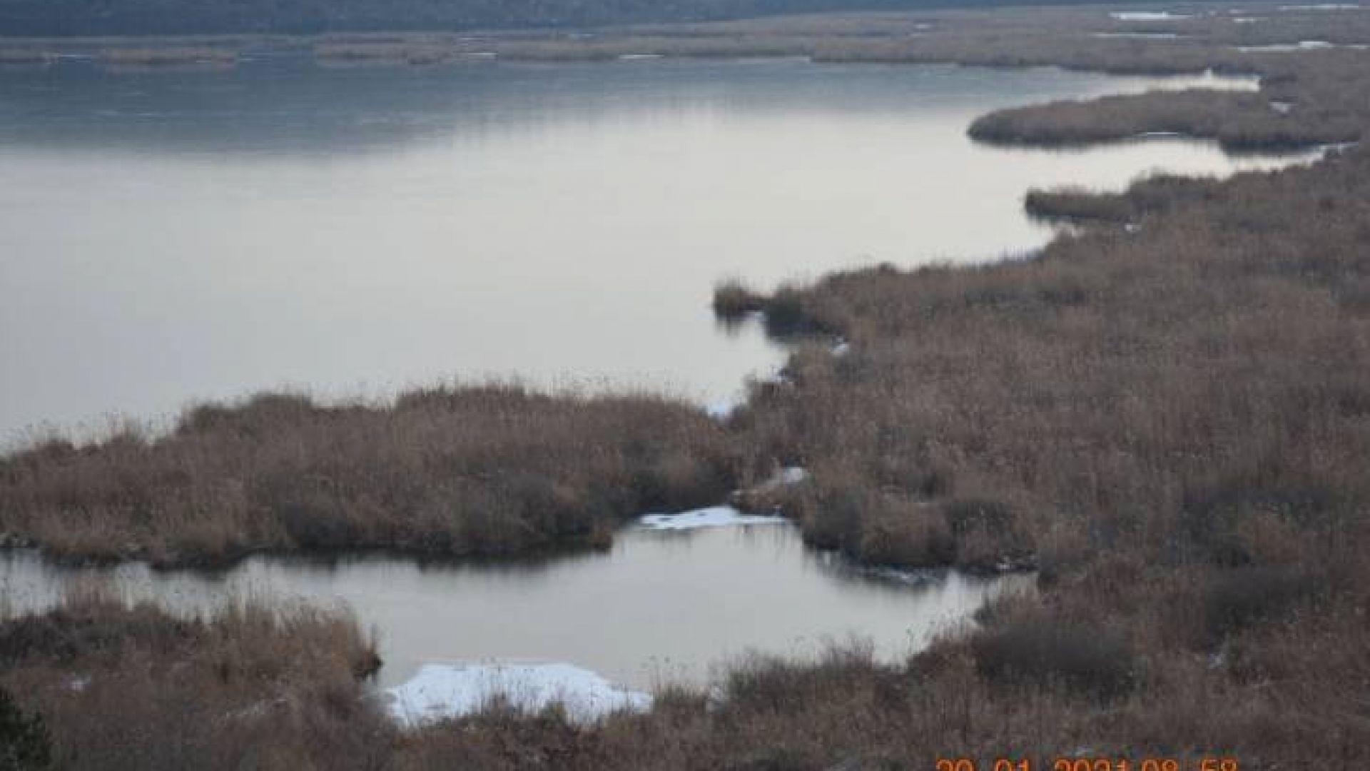 Опасен лед покри езерото Сребърна, намаляха птиците