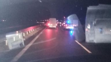 Три тира и един микробус са катастрофирали заради излязло стадо