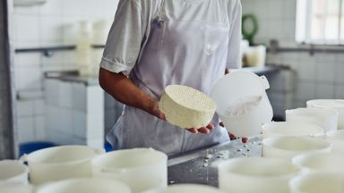 Пловдивският търговец обясни защо в склада му е имало сирене с изтекъл срок