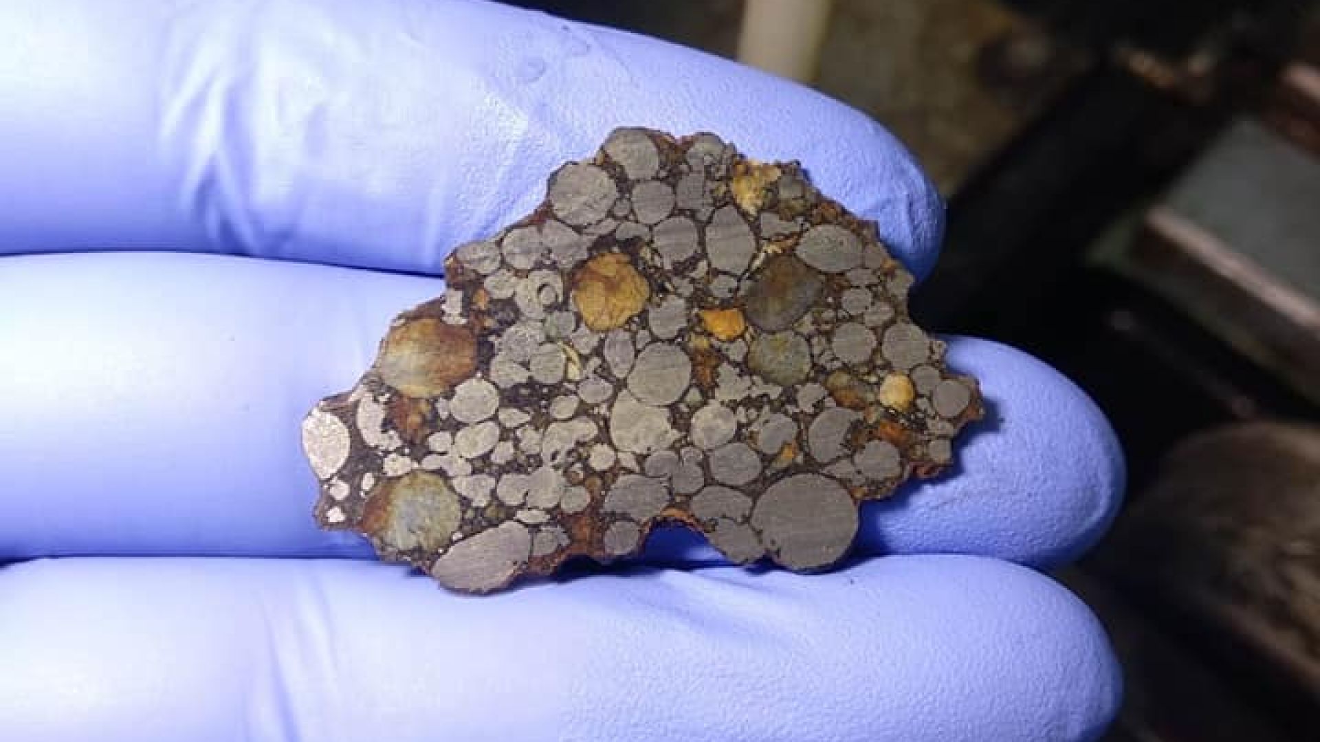 Българи проверяват може ли да се посадят растения в прах от метеорити 