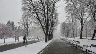 Около 250 малки населени места останаха без ток заради тежкия