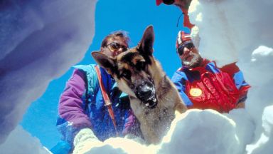 При лавина в Алпите: Кучета спасиха затрупаните си стопани
