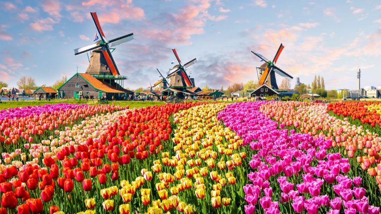 Нидерландия (Холандия)