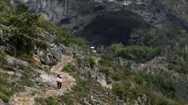 СЗО: Генезисът на Covid-19 е в пещерите с прилепи в Китай