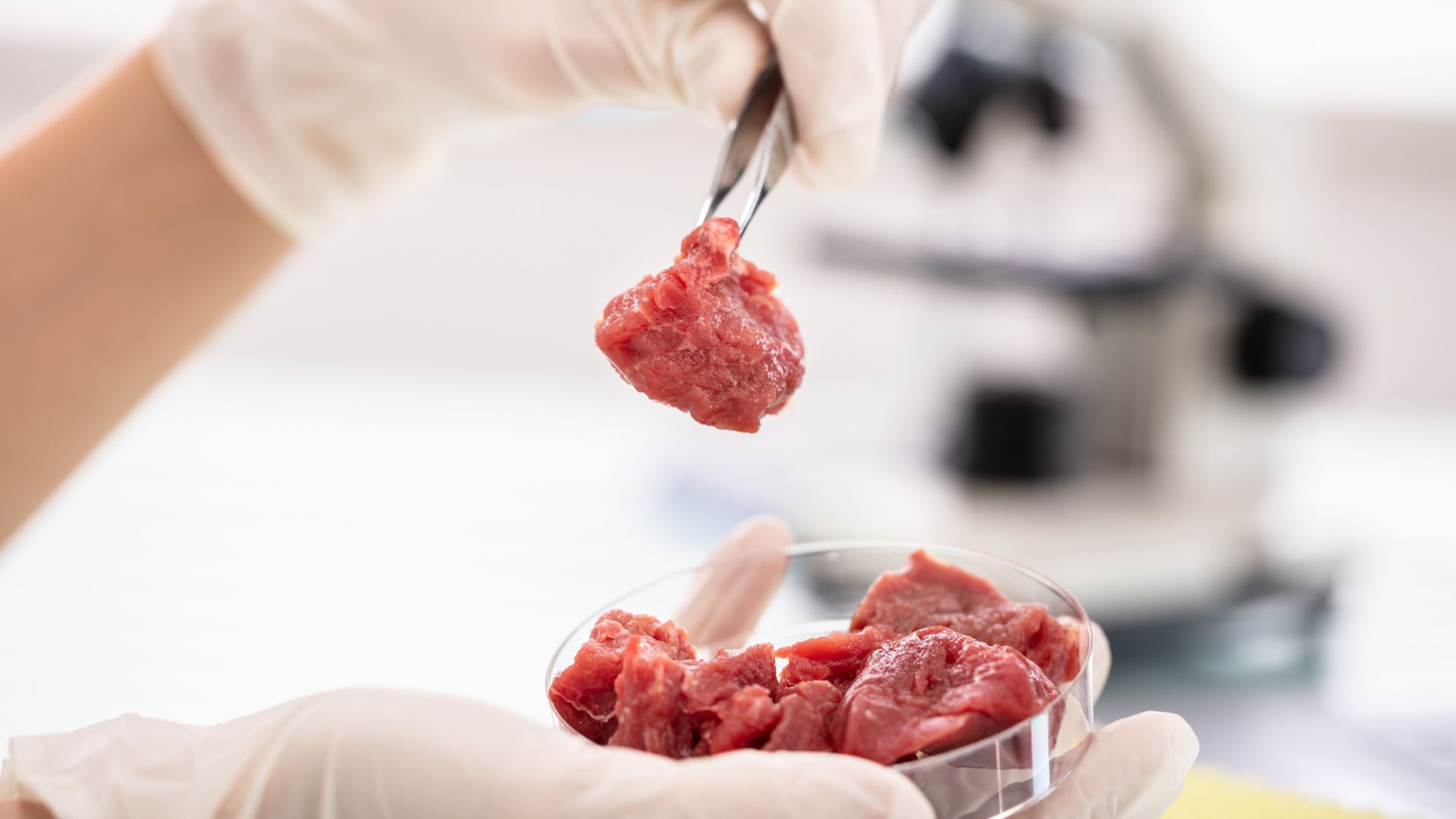 Ново проучване вещае проблеми за отгледаното в лаборатория месо