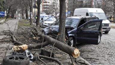 Шофьор на джип Мерцедес събори две дървета в София при