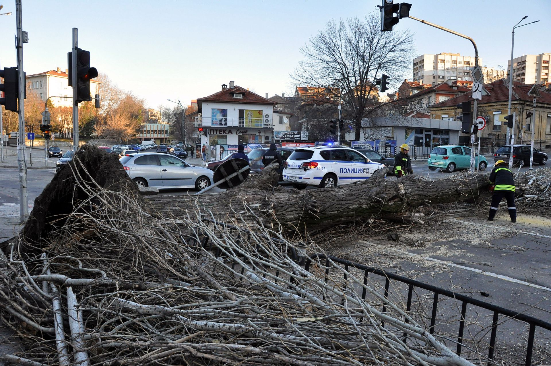 Топола рухна на кръстовище в Хасково