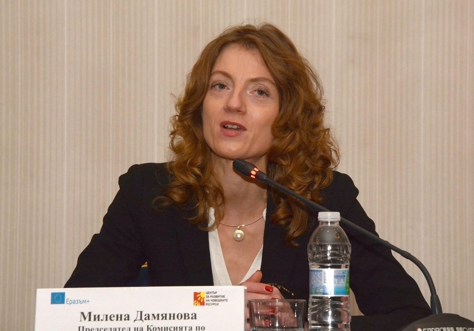 Милена Дамянова: Дамянова въпросът не е в учебниците, а какво и как да направим, за да имаме образована нация (снимка архив)
