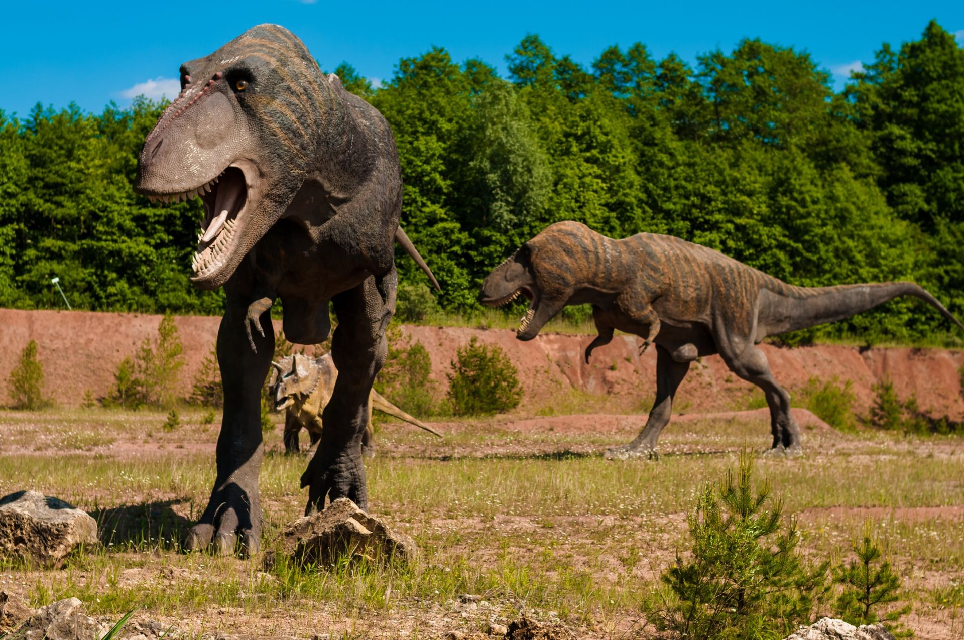 Миграцията на някои динозаври е била забавена от климатични промени