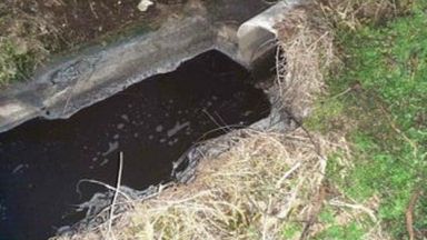 Експерти на Регионалната инспекция по околната среда и водите РИОСВ