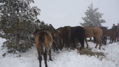 Окръжният съд в Кюстендил отмени оправдателната присъда на районния и