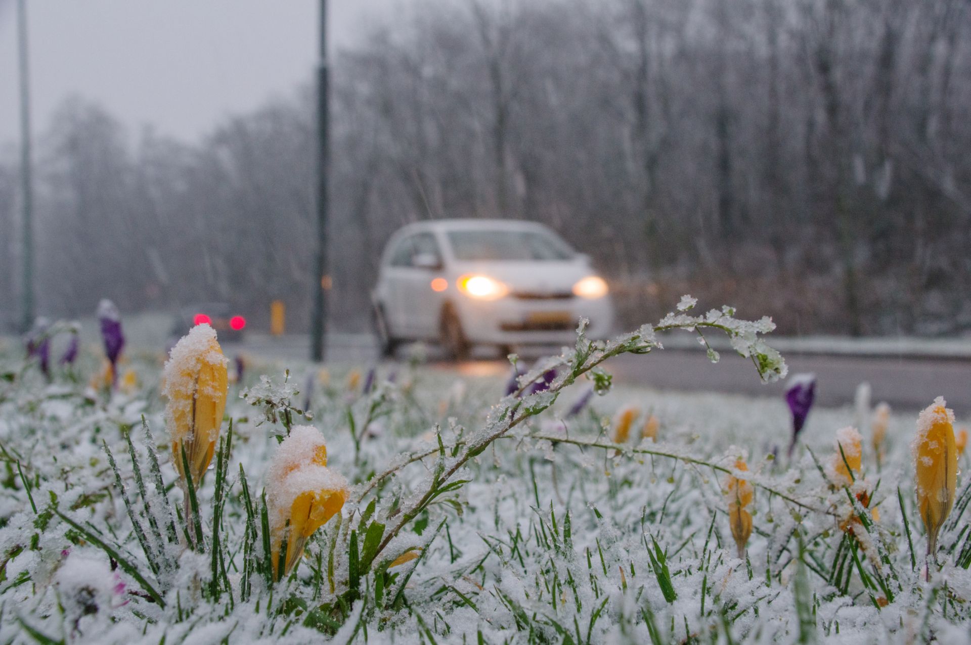 Февруари приключва с  пролетни температури, но март връща зимата със застудявания, дъжд и сняг