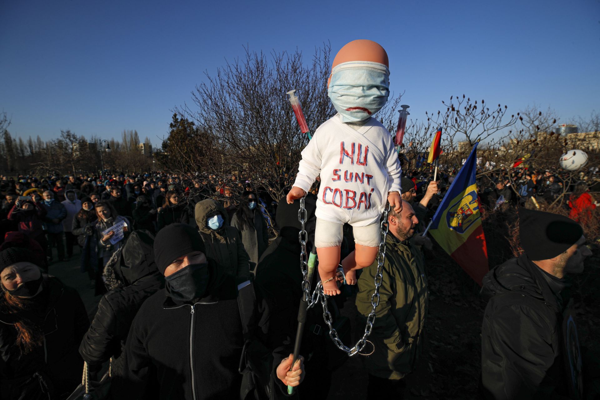  Протестиращите против имунизацията в Румъния 