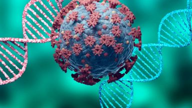 В 15 области в страната е доказано разпространението на британския