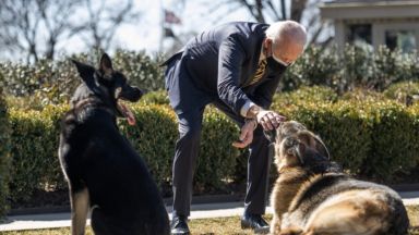 Президентът на САЩ Джо Байдън е върнал двете си кучета