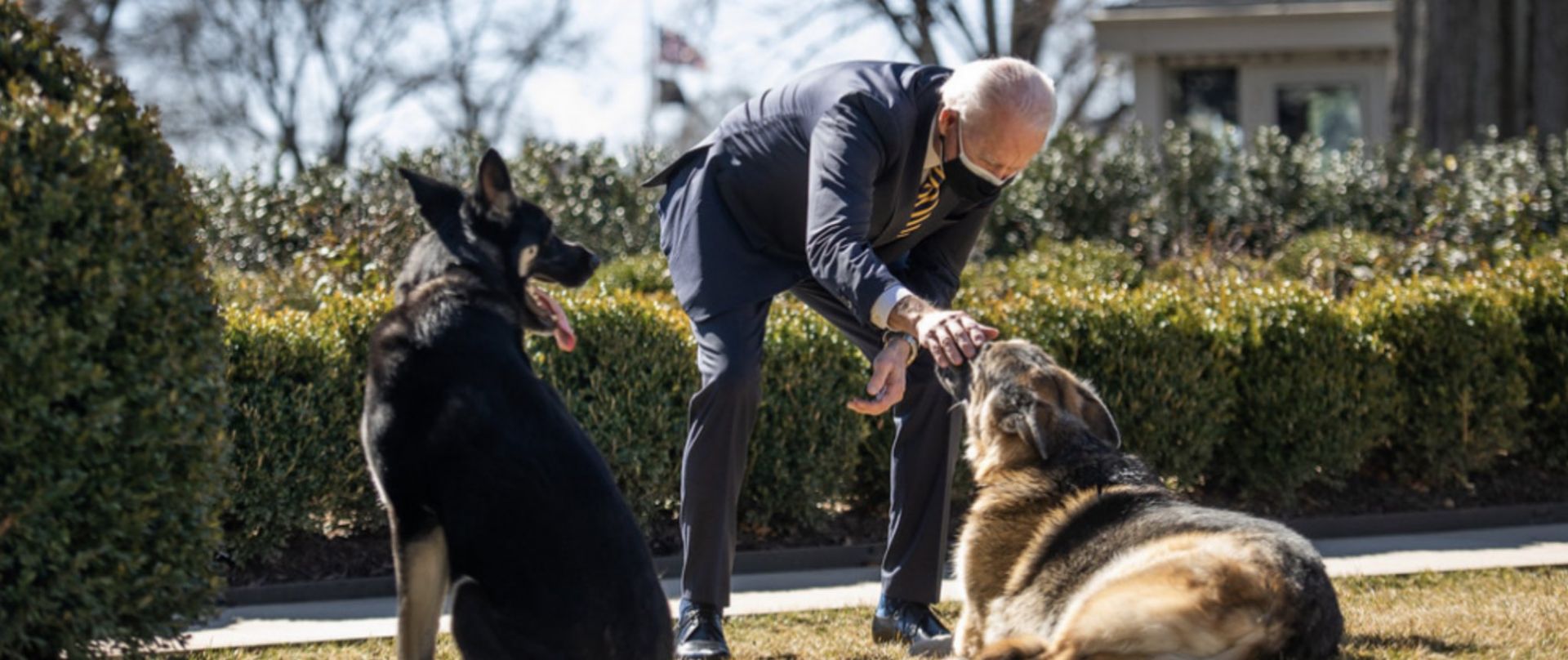 Джо Байдън с любимите си кучета