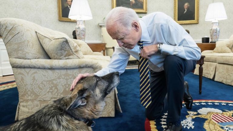 The Biden family said the older of their two dogs had died