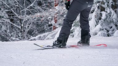 Мечки се появяват на ски пистите в румънския курорт Предял
