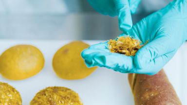 Финландски стартъп произвежда протеин от въздуха