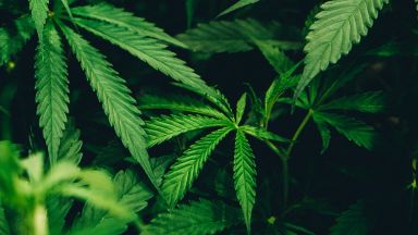 Преди една година Филип Достовски бе осъден условно за притежание