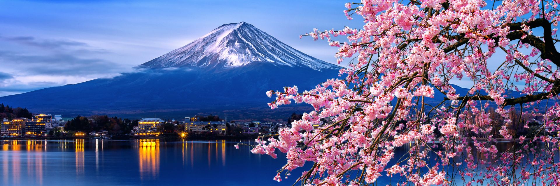 Сакурата цъфна в Япония по-рано от обичайното