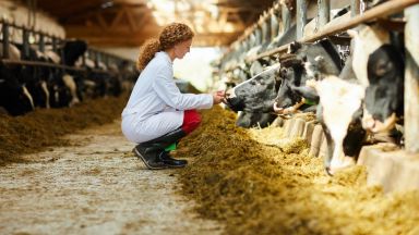 11 ветеринарни лекари са заразени с опасната ку треска в Силистренско Според