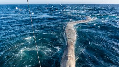 По какъв механизъм колапсът на Гълфстрийм ще доведе до допълнително затопляне на климата