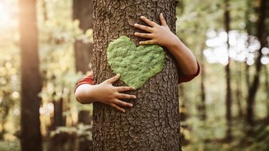 Международен ден на горите: Вижте 3 уникални гори и дървета в България
