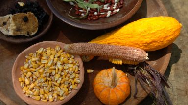 Днес всеки има право да гласува и е призован вече