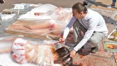 Коронакризата разтърси света зараза пандемия ограничения умират хора