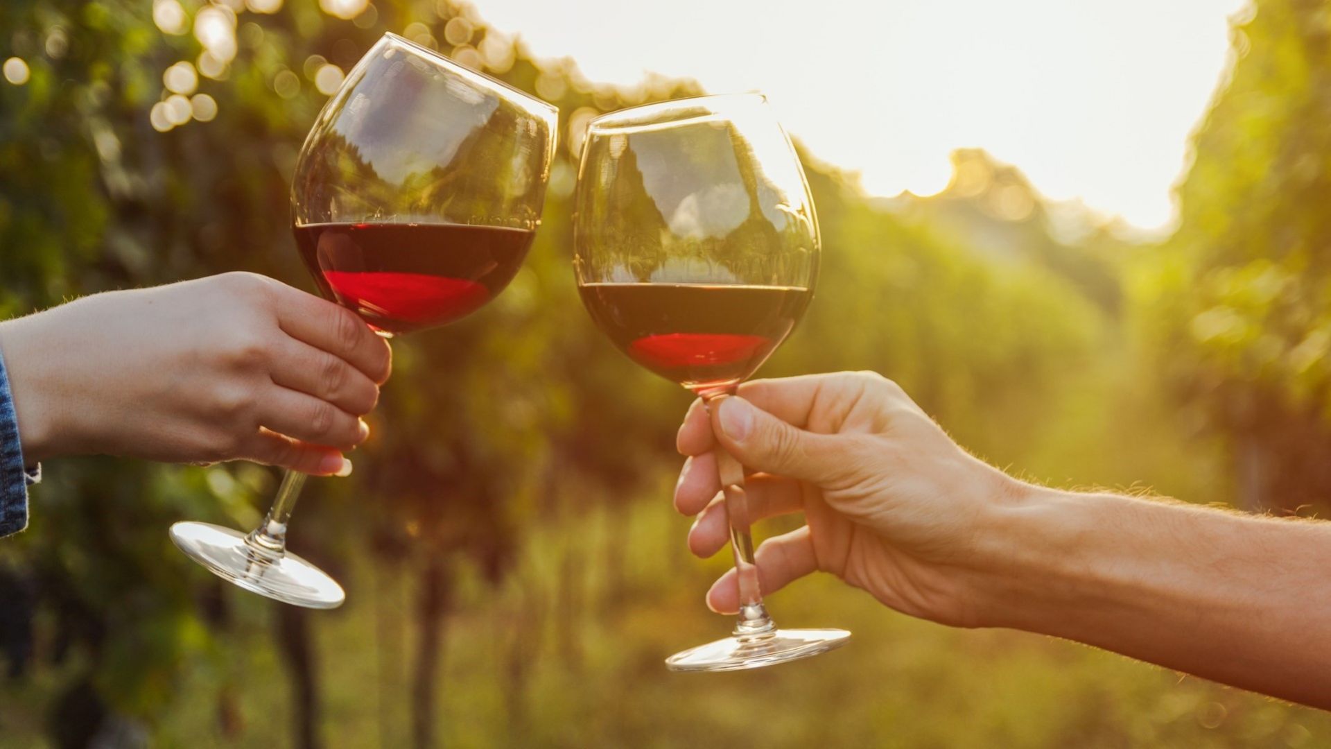 Над 30 винопроизводители излагат продукцията се на фестивал в Бургас