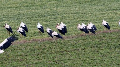 Ако все още не сте свалили мартениците си скоро може