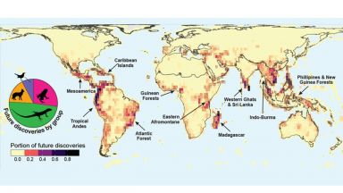 Учени съставиха "карта на неоткрития живот" 