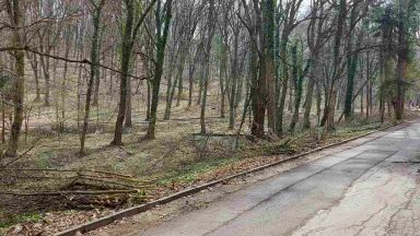 Със своите повече от 60 000 картотекирани дървета Русе е