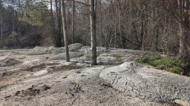 Бетонирани гора и дървета колкото и ужасно да звучи