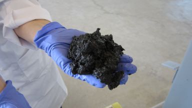 Руснаците ще чистят замърсени с нефт води със сорбент от цвекло