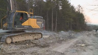 Машини започнаха да разчистват бетонираните дървета край магистрала Хемус