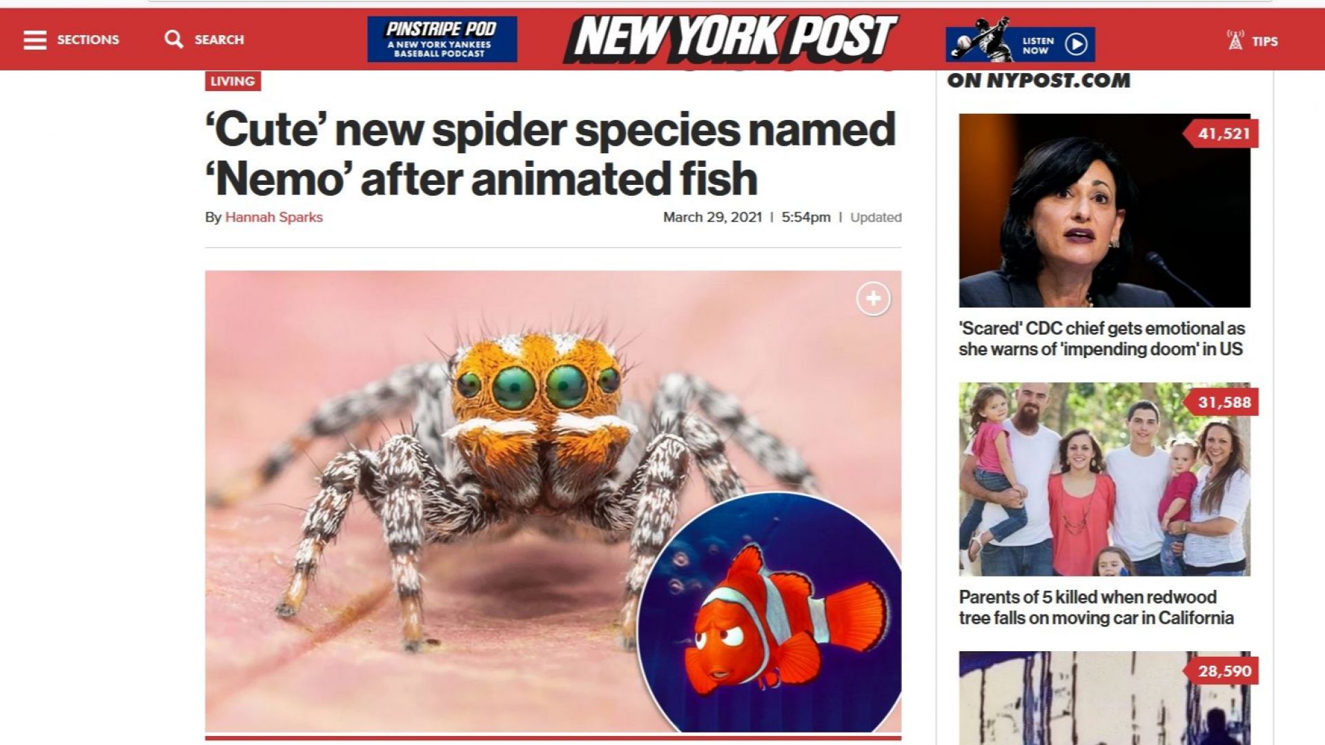 Нов вид паяк е кръстен на героя от анимацията "Търсенето на Немо"