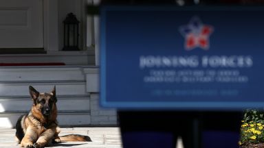 Президентското куче Мейджър отново е ухапало служител на Белия дом